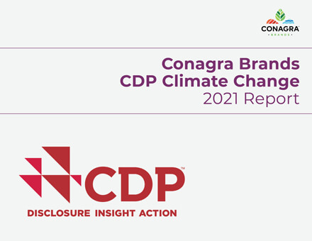 2021 Climate Change CDP Report