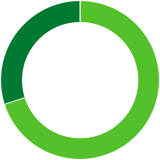 Circular graph showing percentages of ethnicities on the board