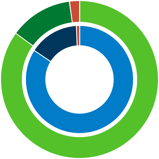 Circular graph showing percentages of ethnicities in leadership